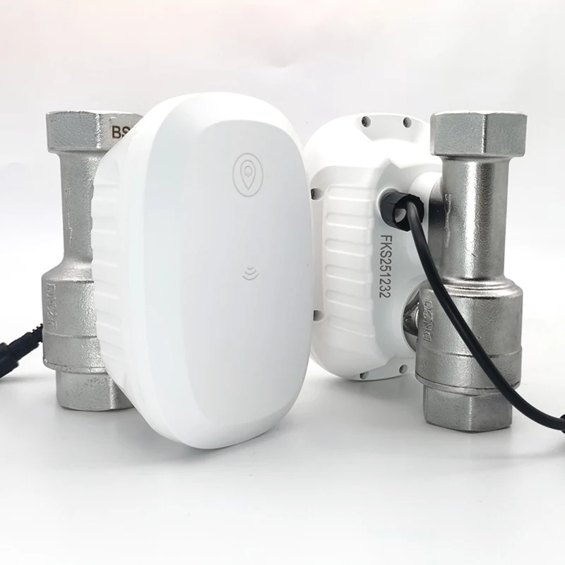 Water Valve WiFi Smart Control - огляд і ціна Home Assistant Tuya