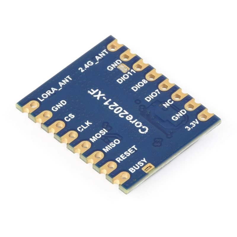 AA60 Core2021-LF LoRa Dual Ban - огляд і ціна Smart Home Module Iot