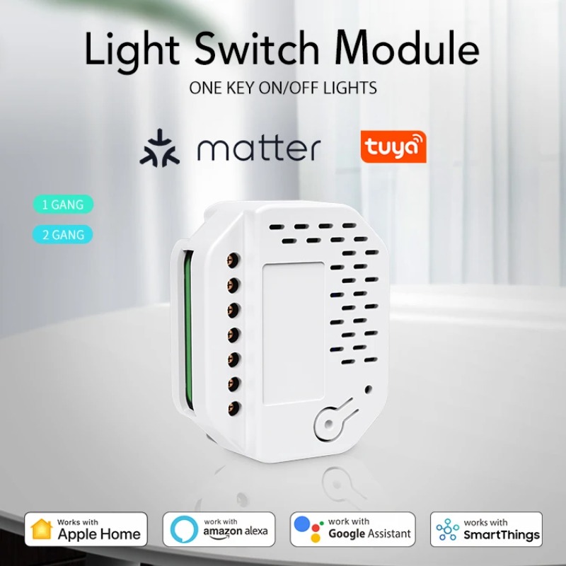 Matter Light Switch Module 2Ga - огляд і ціна Smart Relay Tuya